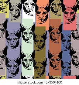 Cute Cats Hairless Naked Cats Sphinx Stock Vector Royalty Free