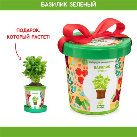 Набор для выращивания Happy Plant, Базилик, Однолетник купить по ...