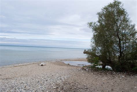 He Who Holds the Pillars Firm - Sarah Freymuth