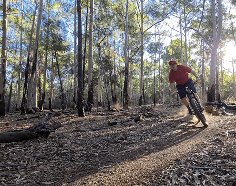 Buttons Fall Jarrahdale Trails Wa Trails Wa