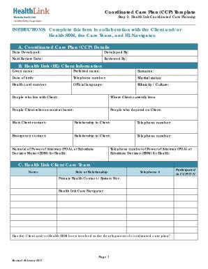 Fillable Online Coordinated Care Plan Ccp Template Fax Email Print