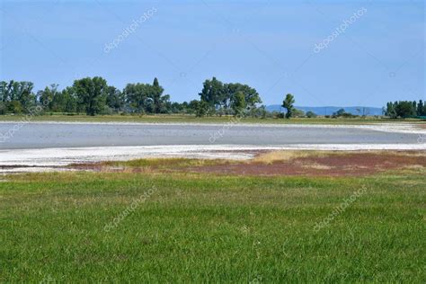 Austria Neusiedlersee Seewinkel Parque Nacional En Burgenland En Las Tierras Bajas De Panonia