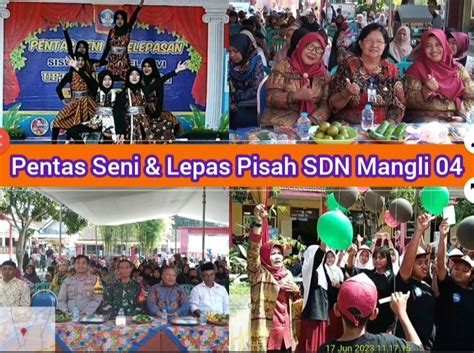 Pentas Seni P5 Dan Lepas Pisah Siswa Kelas 6 SDN Mangli 04 Kecamatan