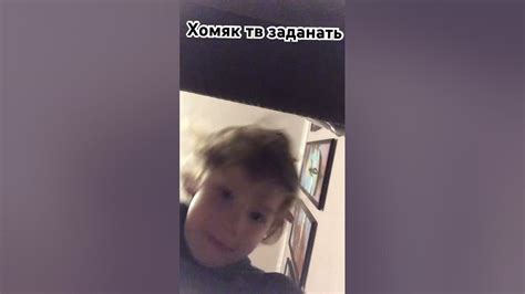 хомяк тв заметь - YouTube