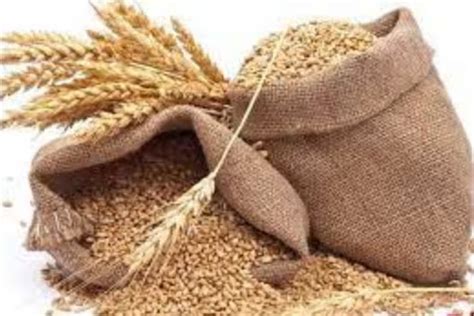 Fci To Offer Lakh Tonnes Wheat Stock To Bulk Consumers In Rd E