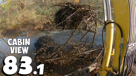 Beaver Dam Removal With Excavator No Cabin View Youtube