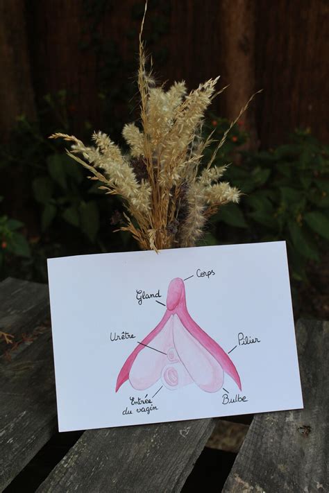 Anatomy Of The Clitoris Sex Education Scheme Watercolor Etsy Uk