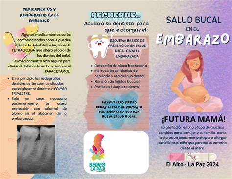 Triptico Salud Bucal En El Embarazo