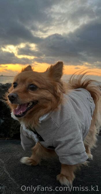 Miss K1 Naketaj1 Leaked Nude OnlyFans ShemaleLeaks