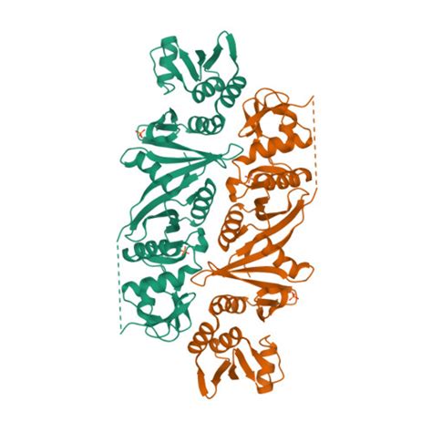 RCSB PDB 5X89 The X Ray Crystal Structure Of Subunit Fusion RNA