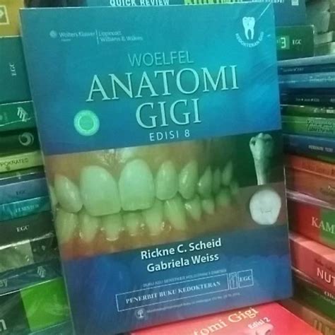 Jual Woelfel Anatomi Gigi Edisi Shopee Indonesia