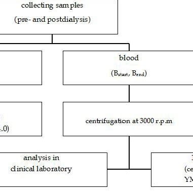 Schematic reversed-phase HPLC method principle | Download Scientific ...