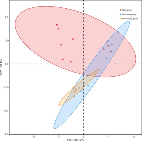 Principal Coordinate Analysis Pcoa And Clustering Analysis Download Scientific Diagram