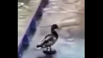 SEMEVAAREVENTAR LA TRIPA XVIDEOS