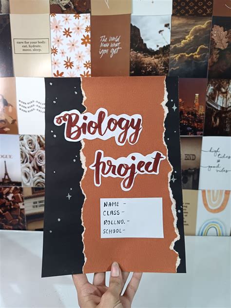 asthetic cover page   biology projects project cover page