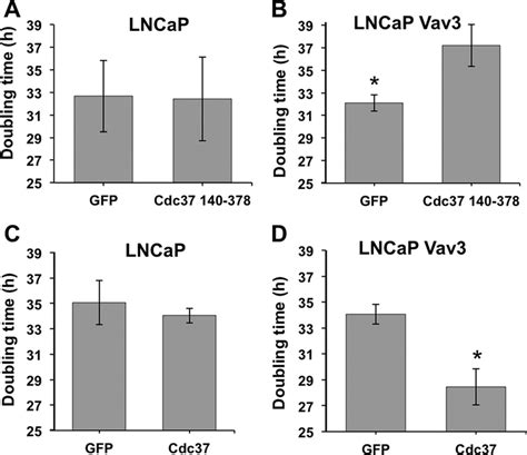 Cdc37 Selectively Promotes Proliferation Of Vav3 Expressing Prostate