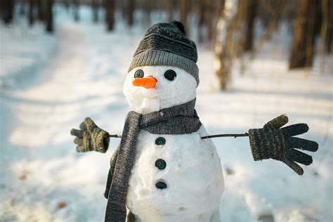 Snow Man