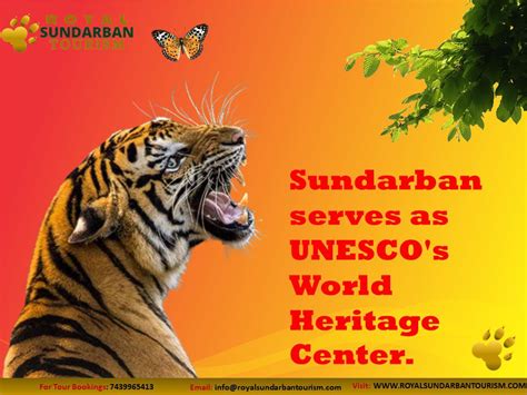 Great Sundarban Serves As Unescos World Heritage Center Royal