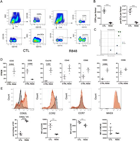 Tlr Agonist Treatment Induces An Increase In Bone Marrow Resident