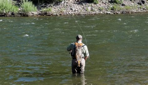 DIY Guide To Fly Fishing The Bitterroot River In Montana DIY Fly Fishing