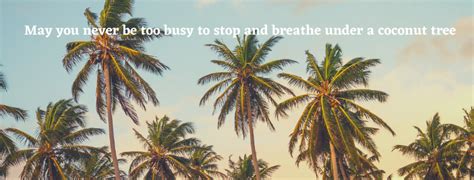 Green White Palm Trees Photo Quotes Book Literature Facebook Cover