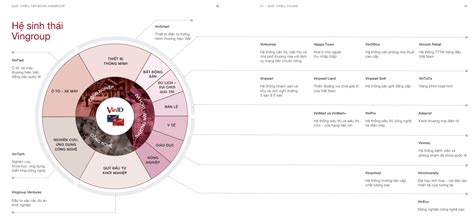 Cập nhật 51 về mô hình kinh doanh của vingroup hay nhất hocvienthammyp2h
