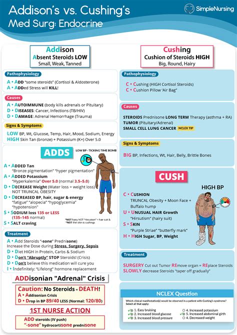 1 Addison S Vs Cushings Addison S Vs Cushing’s Med Surg Endocrine Pathophysiology C