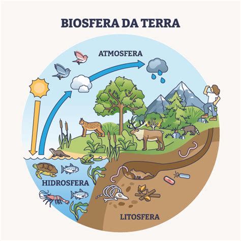 O Que É Biosfera Resumo