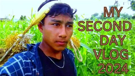 My Second Day Vlog Gau Tira Ko Makai Bhachne Tarika Youtube