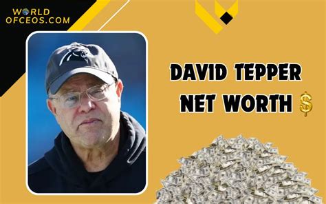 David Tepper Net Worth 2024: Investments, and Philanthropy Overview