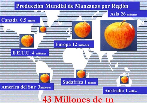 Guía completa sobre el Cultivo de Manzana Siembra y Cosecha