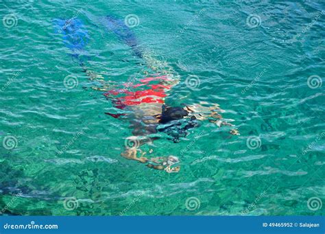 Man Snorkeling at Phi Phi Island, Phuket, Thailand Stock Photo - Image of clear, phiphi: 49465952