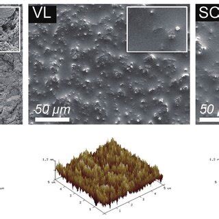 FE SEM micromorphology and 5 5 μm AFM topography images of samples