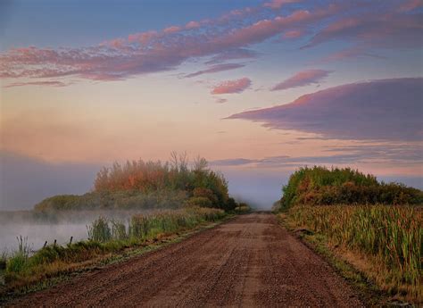 The Road Through The Swamp Photograph By Dan Jurak Fine Art America