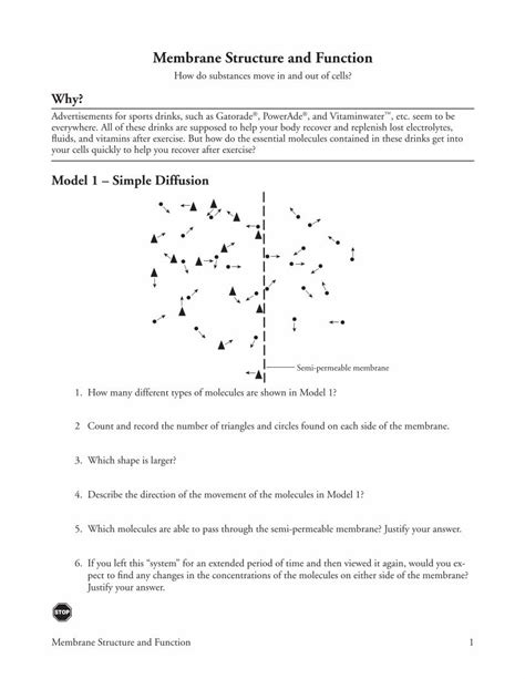 (PDF) Membrane Structure and Function · PDF fileMembrane Structure and ...