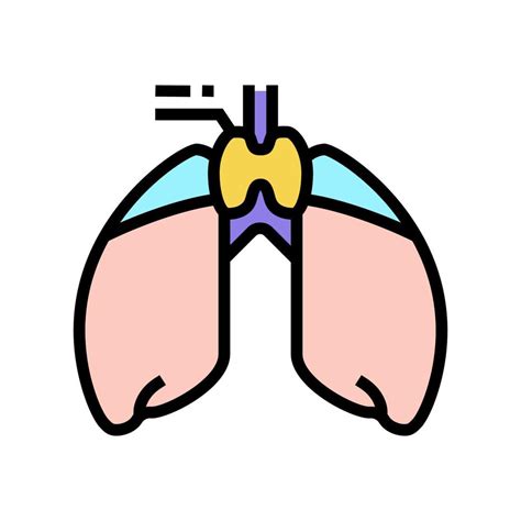 Thymus Endocrinology Color Icon Vector Illustration 10310386 Vector Art