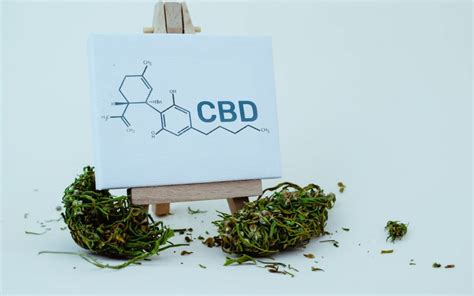 Le CBD contre lanxiété et le stress Blog Conseil Santé