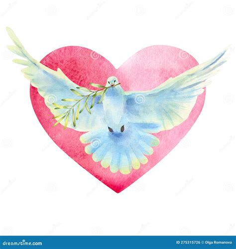 Watercolor Illustration Of Flying White Dove Olive Branch And Heart