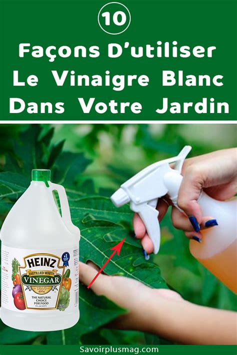 Les 10 Façons dutiliser le vinaigre blanc dans votre jardin