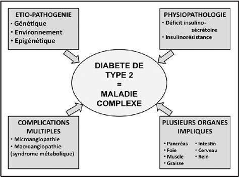 Figure 1 From Le Diabete De Type 2 Voyage Au Coeur Dune Maladie