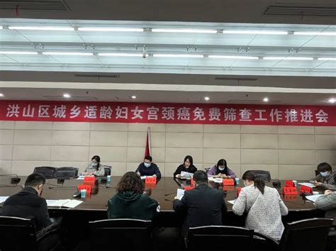 洪山区召开城乡适龄妇女宫颈癌免费筛查工作推进会 澎湃号·政务 澎湃新闻 The Paper