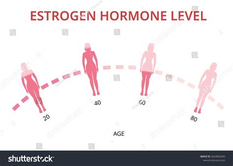 Estrogen Deficiency Images Stock Photos Vectors Shutterstock