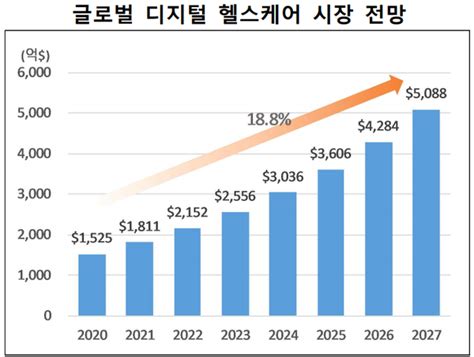 디지털 헬스케어 시장 테크 기업 ‘러쉬정책 지원 확대 전망