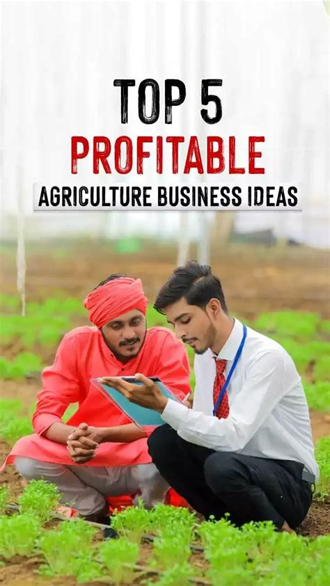 Top 5 Profitable Agriculture Business Ideas In India