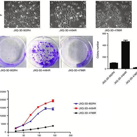 Tumorigenicity Of Three GBC PDCs In Naked Mice JXQ 3D 902R4