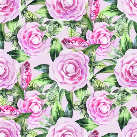 Watercolor Pussy Willow Pattern Royalty Free Vector Image