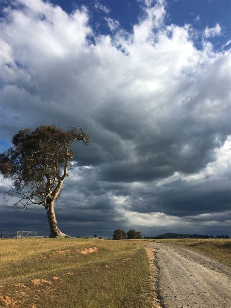 El Niño and climate change posing a perfect storm | Riotact