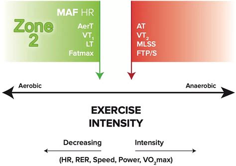 Harness The Power Of Zone 2 Training