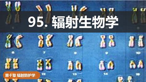 95 辐射生物学 开发测试站点 联盟