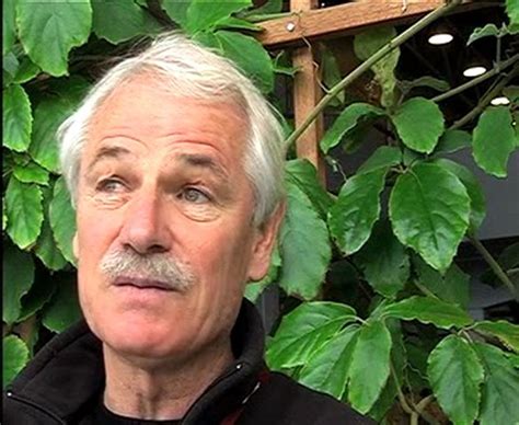 Le Vidéo Quizz de Terra eco Yann Arthus Bertrand Vidéo Dailymotion